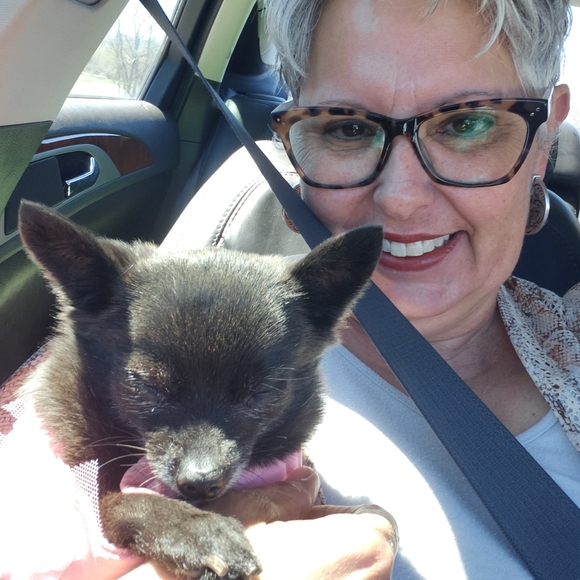 Meet your Posher, Laurie - Picture 2 of 3